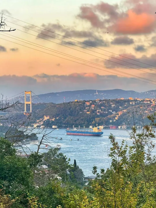 Anın Fotoğrafı