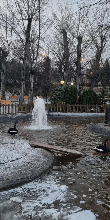 Anın Fotoğrafı