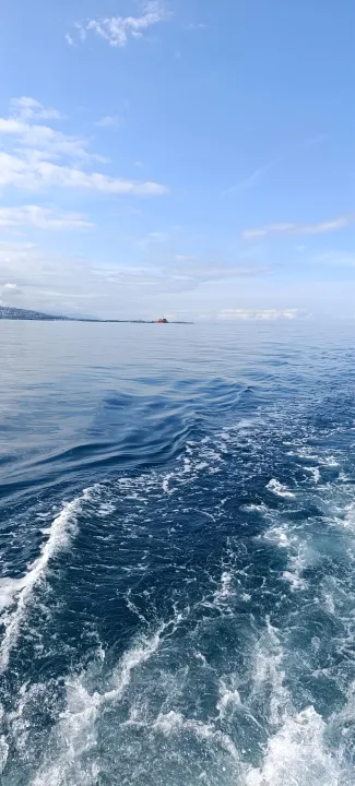 Anın Fotoğrafı