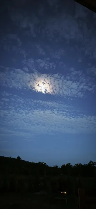 Anın Fotoğrafı