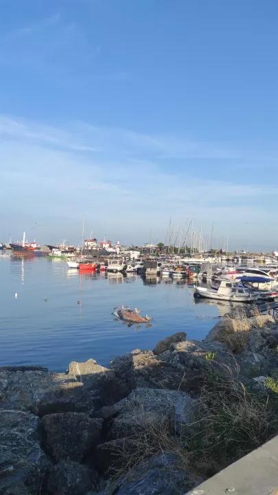 Anın Fotoğrafı