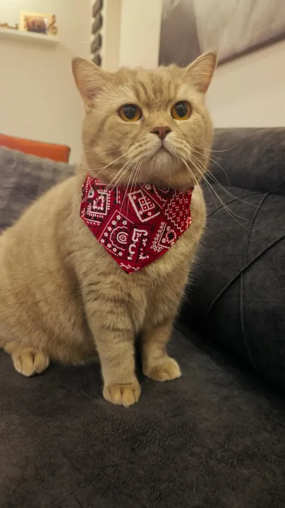 Anın Fotoğrafı