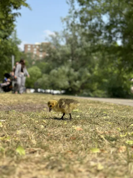 Anın Fotoğrafı