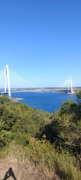 Anın Fotoğrafı