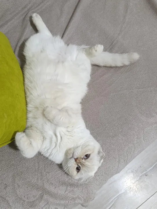 Anın Fotoğrafı