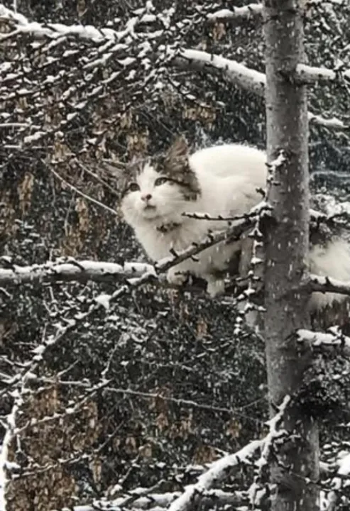 Anın Fotoğrafı
