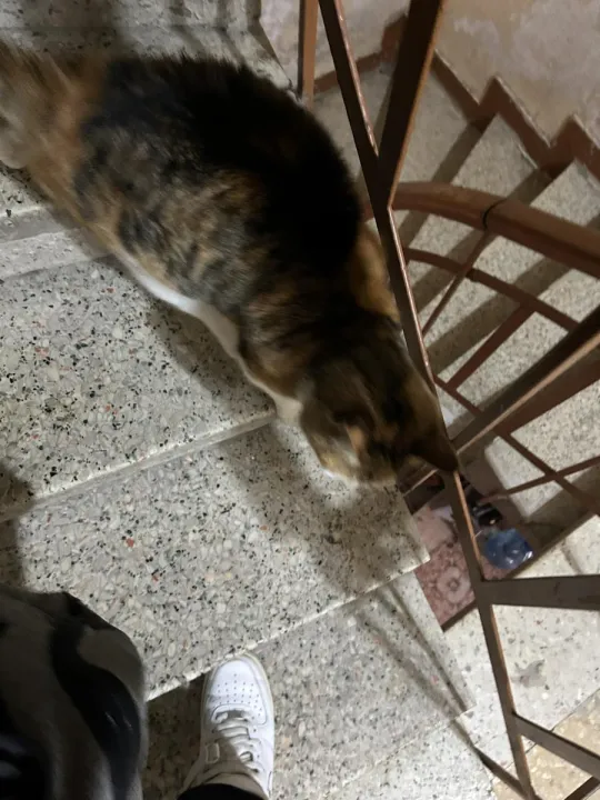 Anın Fotoğrafı