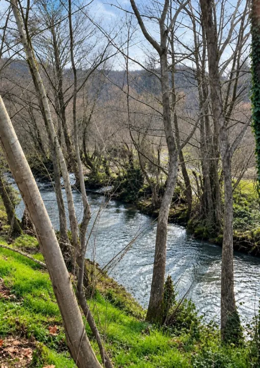Anın Fotoğrafı