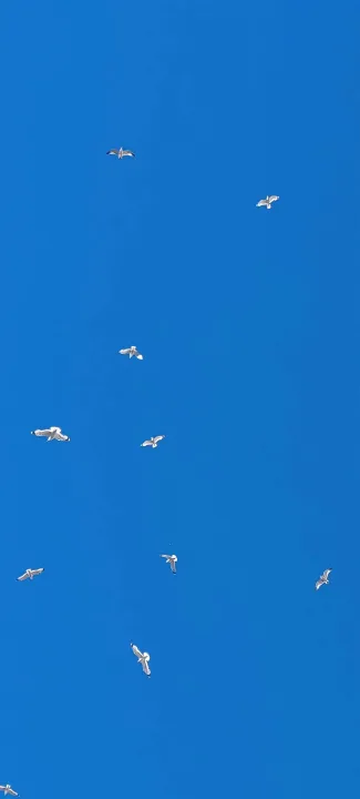 Anın Fotoğrafı