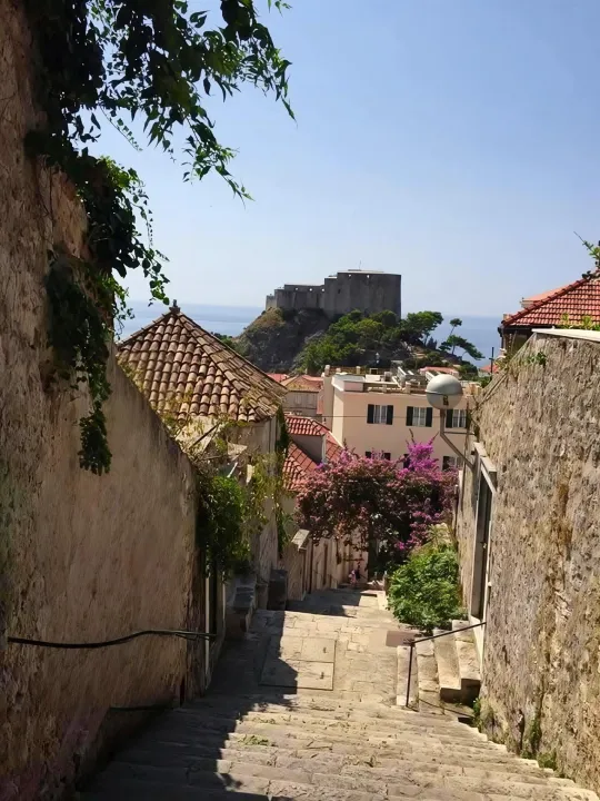 Anın Fotoğrafı