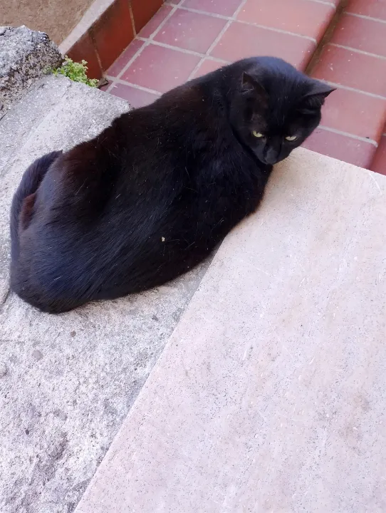 Anın Fotoğrafı