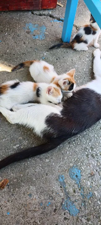 Anın Fotoğrafı