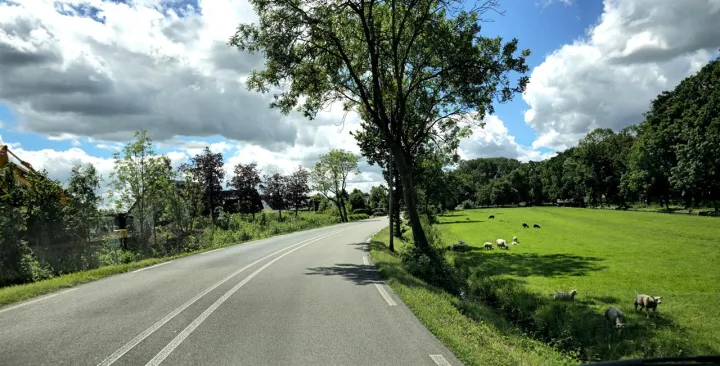 Anın Fotoğrafı