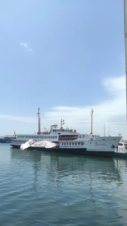 Çoklu paylaşım