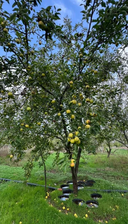 Anın Fotoğrafı