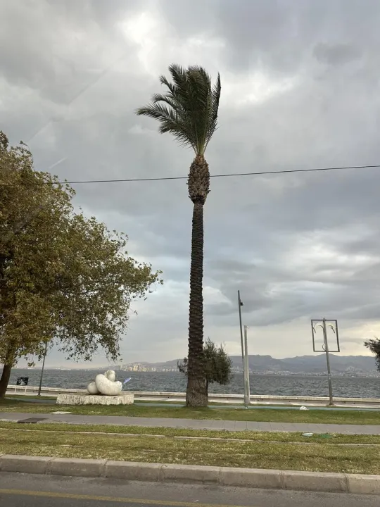 Anın Fotoğrafı