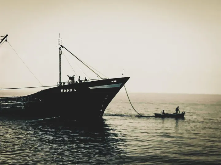 Anın Fotoğrafı