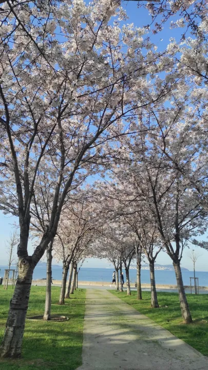 Çoklu paylaşım