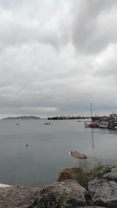 Çoklu paylaşım