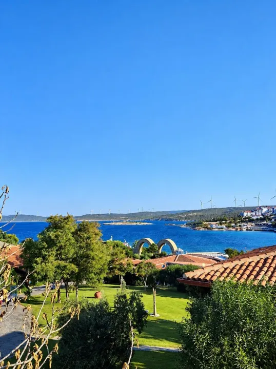 Anın Fotoğrafı