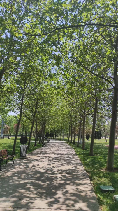 Anın Fotoğrafı