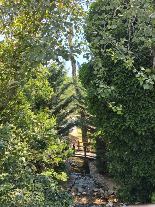 Anın Fotoğrafı