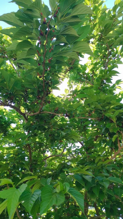 Anın Fotoğrafı