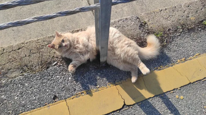 Anın Fotoğrafı