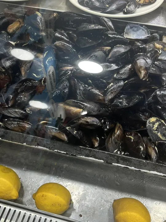 Anın Fotoğrafı