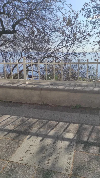 Anın Fotoğrafı