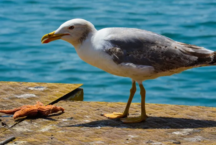 Anın Fotoğrafı