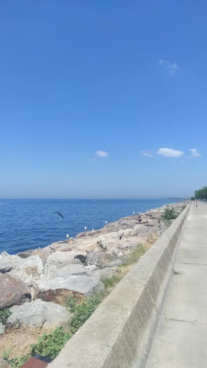 Anın Fotoğrafı