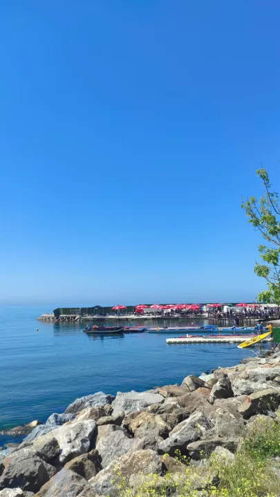 Anın Fotoğrafı