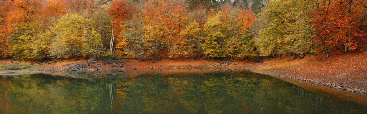 Anın Fotoğrafı