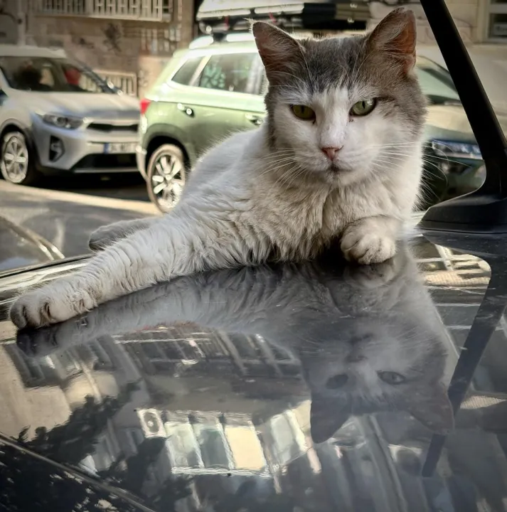 Anın Fotoğrafı