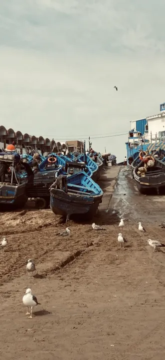 Anın Fotoğrafı