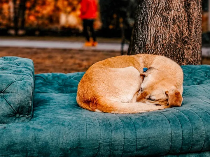 Anın Fotoğrafı