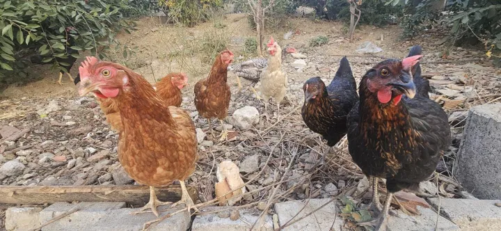 Anın Fotoğrafı