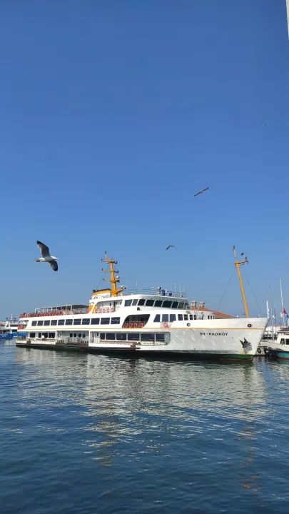 Çoklu paylaşım