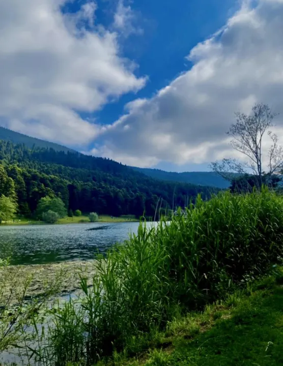Anın Fotoğrafı