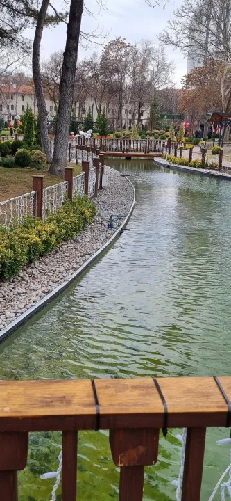 Anın Fotoğrafı