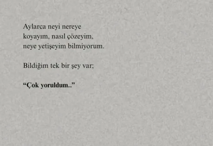 Anın Fotoğrafı