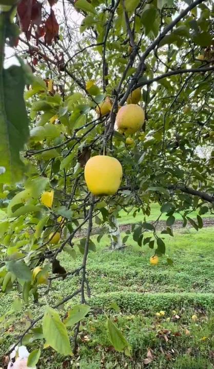 Anın Fotoğrafı