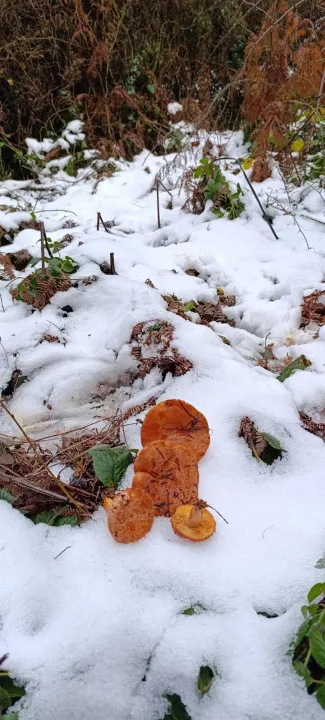 Anın Fotoğrafı