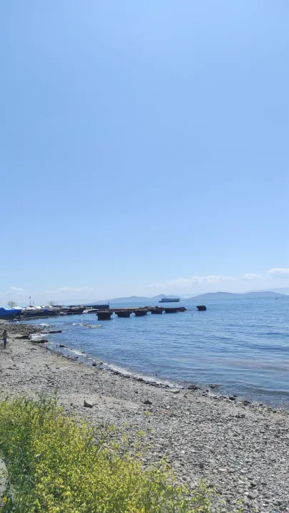 Anın Fotoğrafı