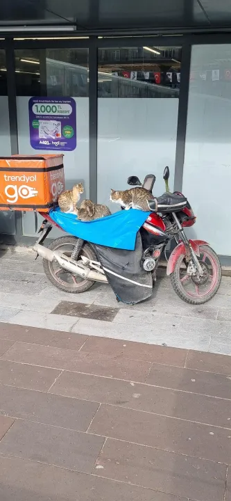 Anın Fotoğrafı