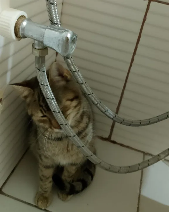 Anın Fotoğrafı