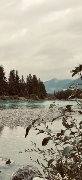 Anın Fotoğrafı