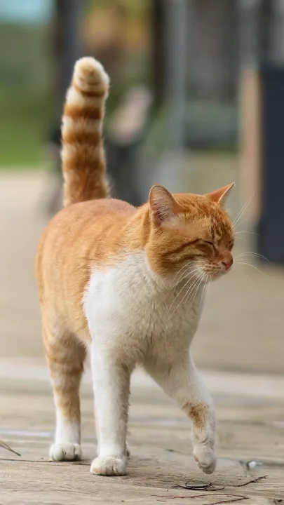Anın Fotoğrafı