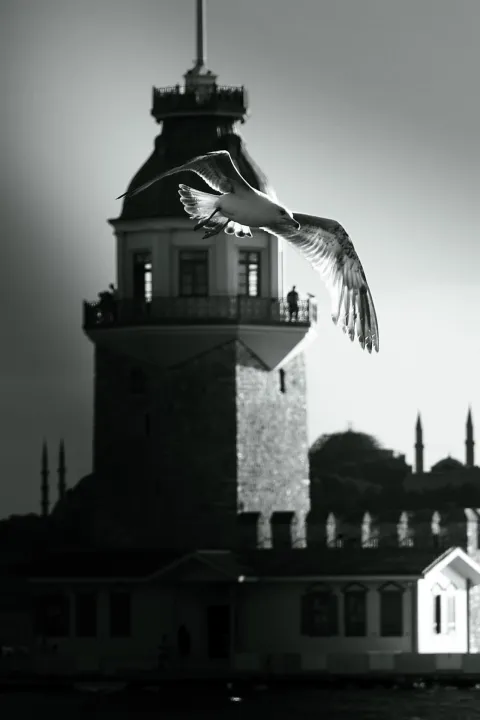 Çoklu paylaşım